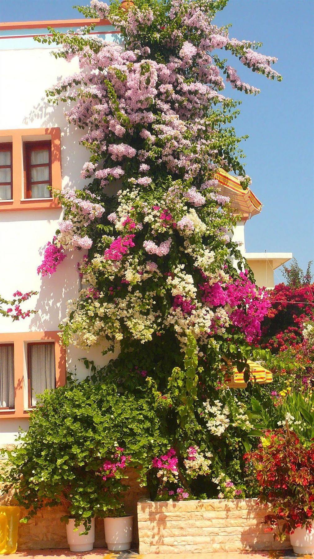 Villa Elizea Stalos Exterior foto